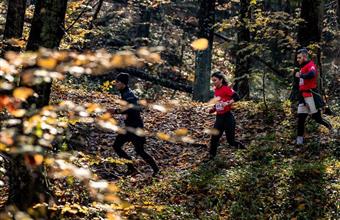 Geyik Runs (Deer Runs)
