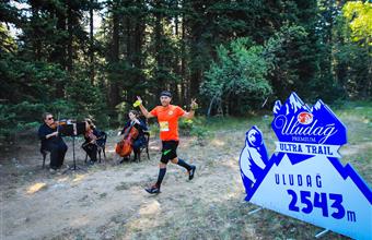 Golden Heights of Endurance