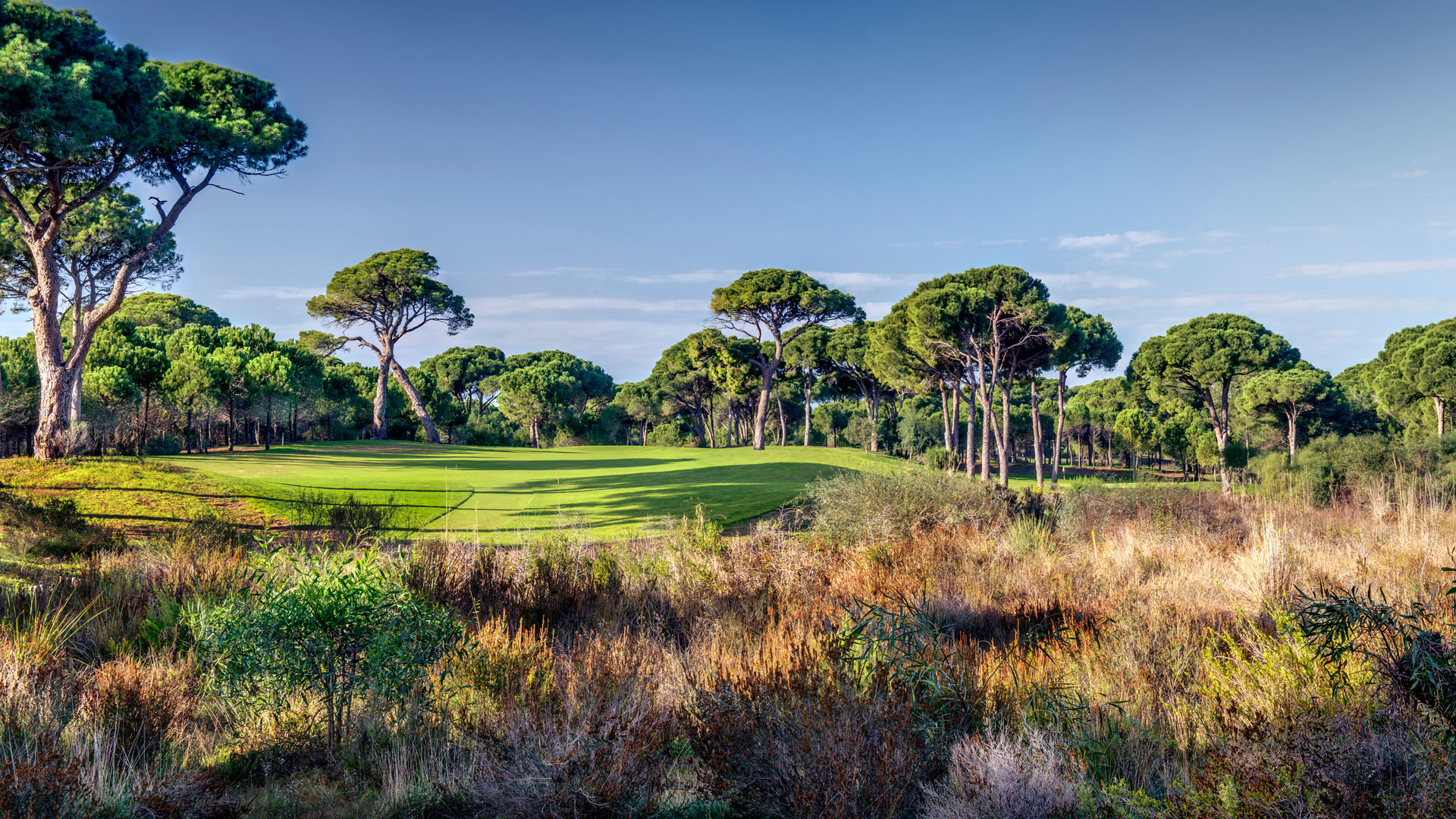 Cornelia Golf