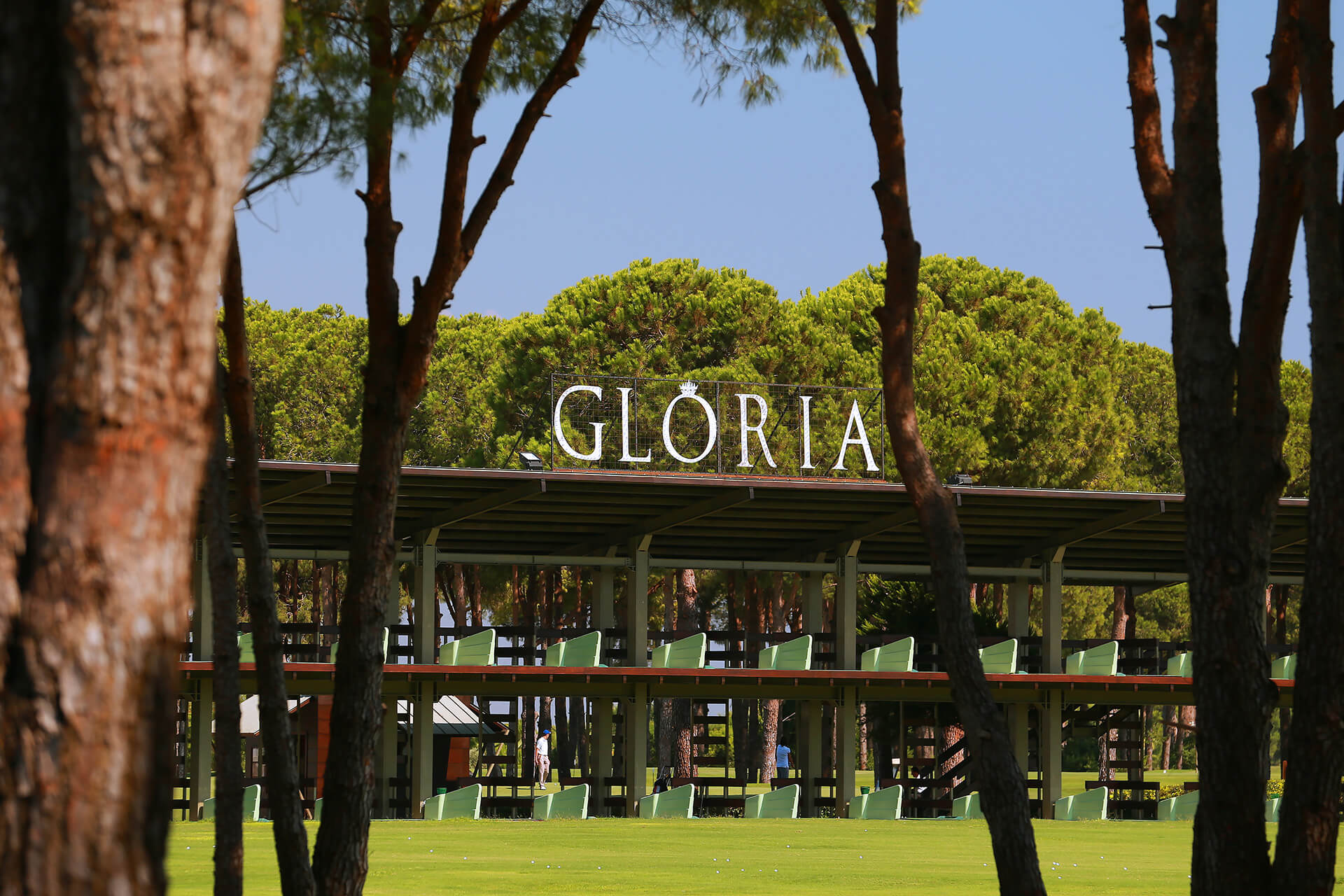 gloriasportsarena