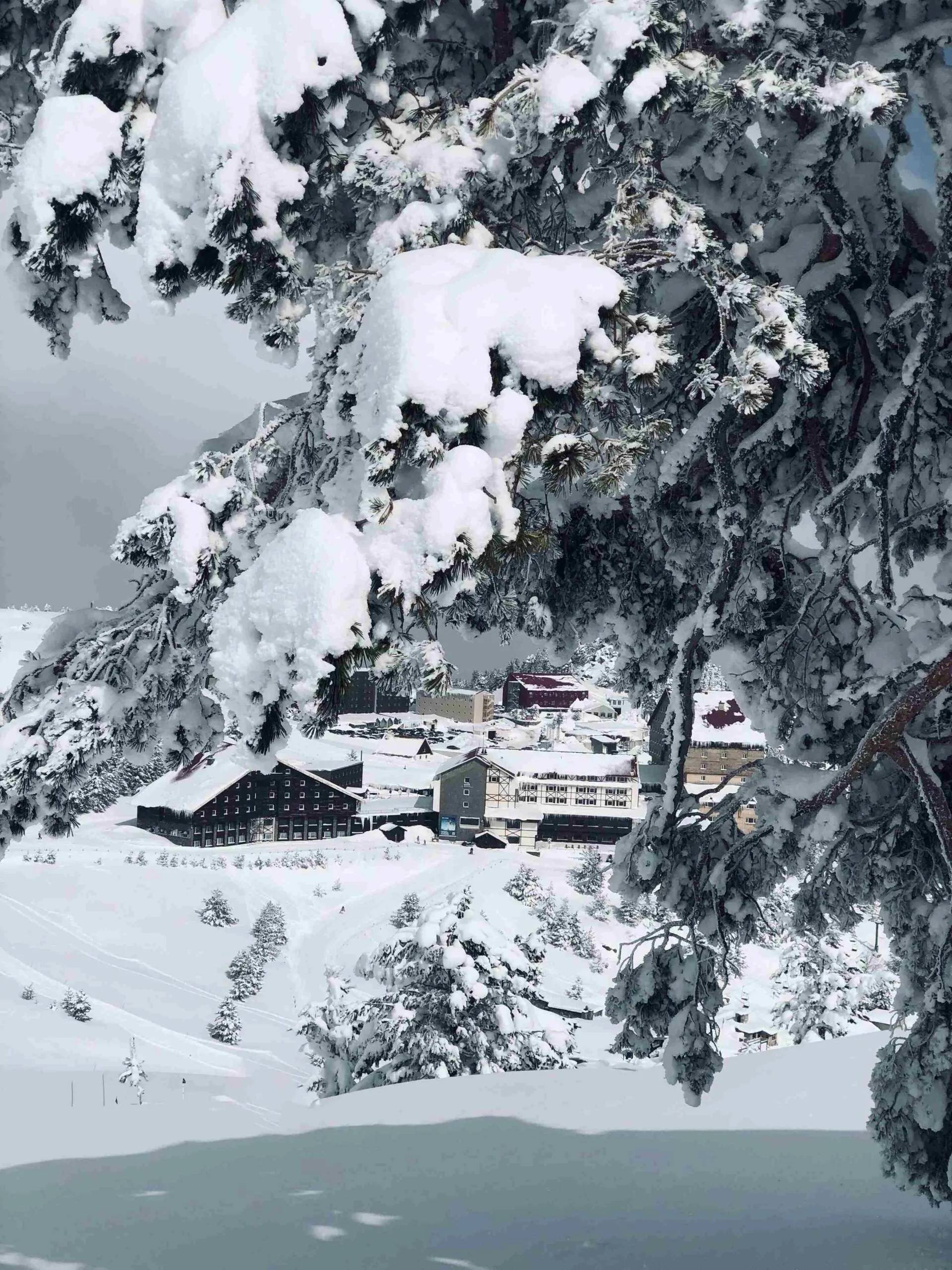 kartalkaya