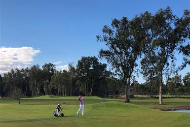 Golf