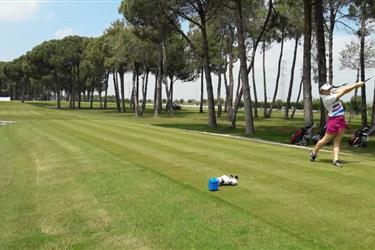Golf