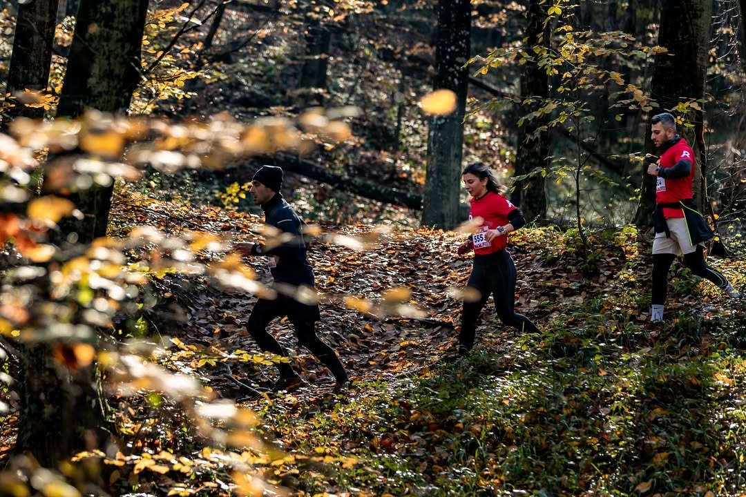 Geyik Runs (Deer  Runs)