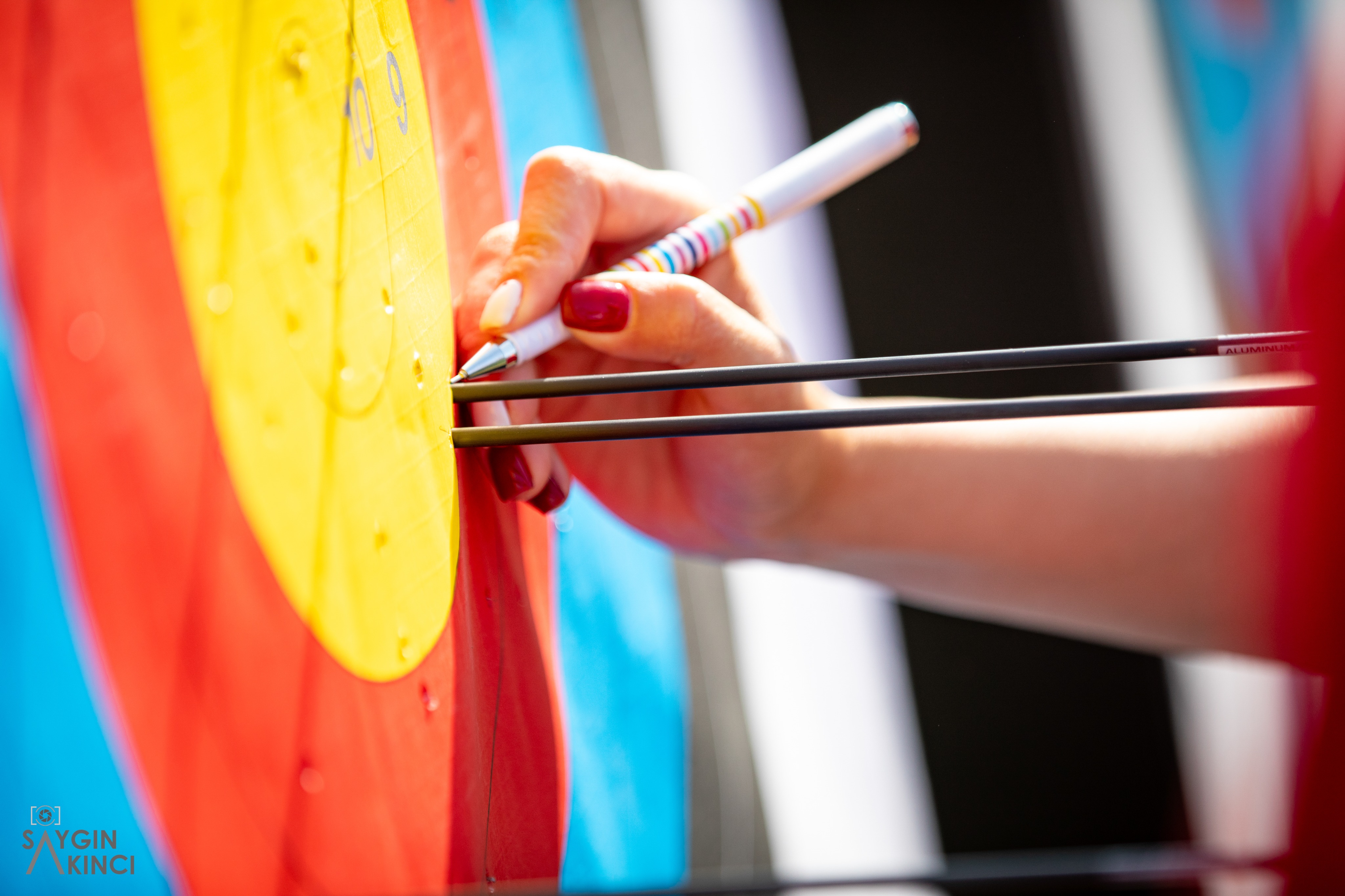 Hyundai Archery World Cup