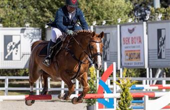 Presidential Equestrian Show Jumping Cup