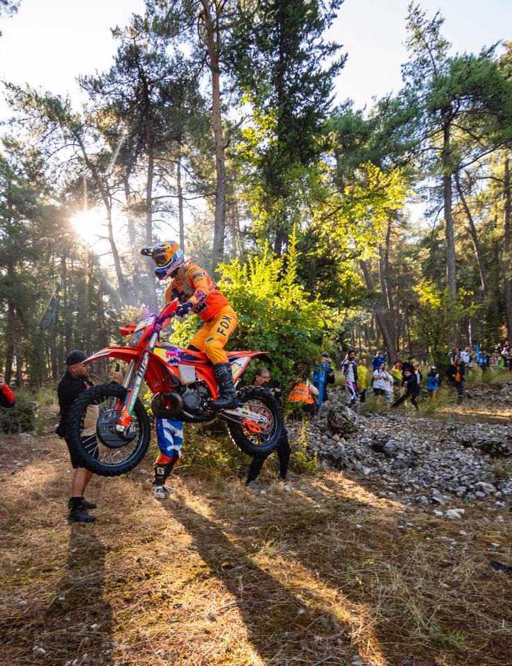 Through the Pines
