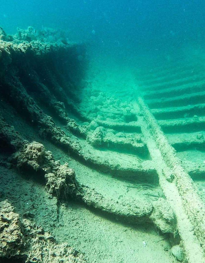 S.S. Milo