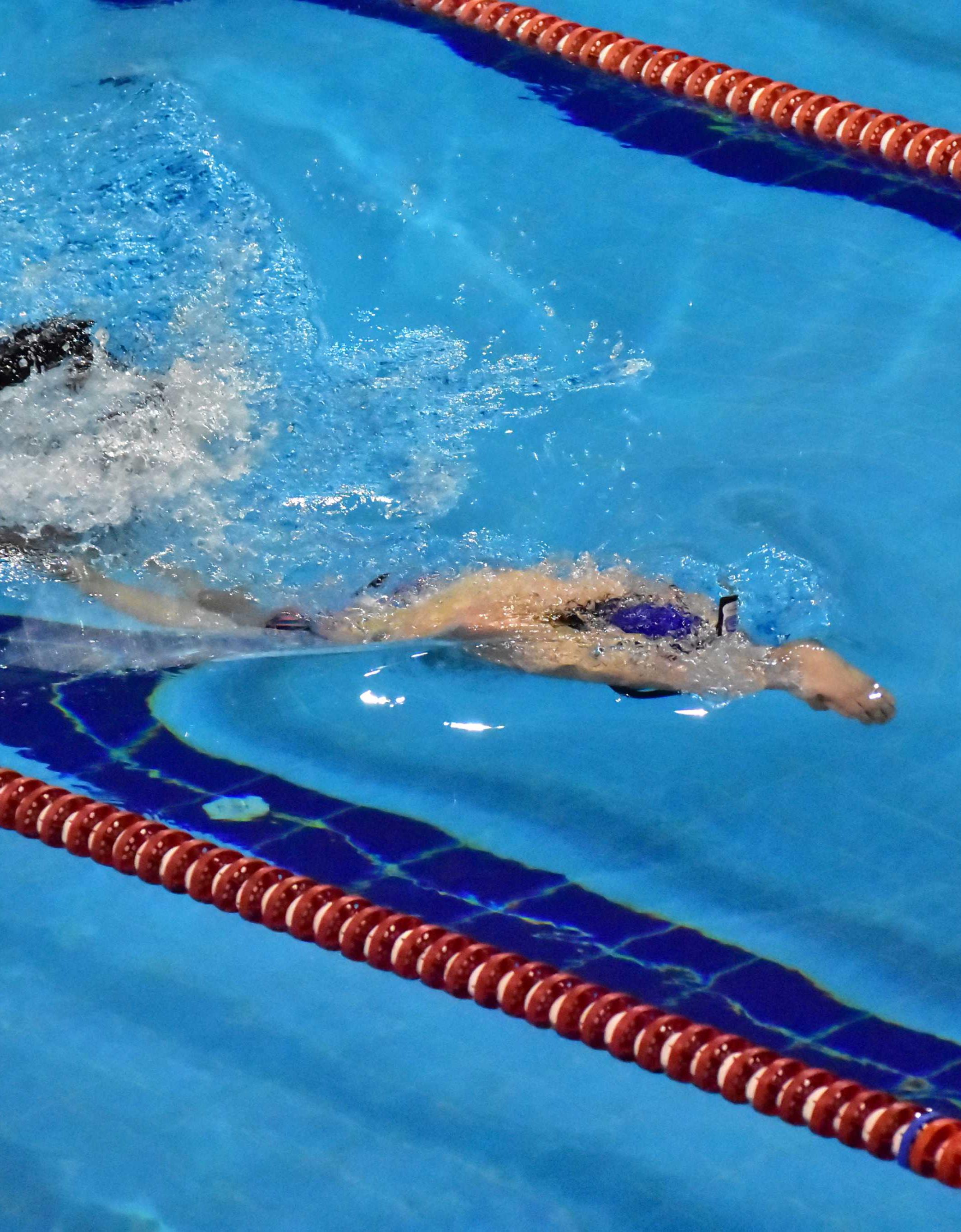 Gebze Olympic Swimming Pool