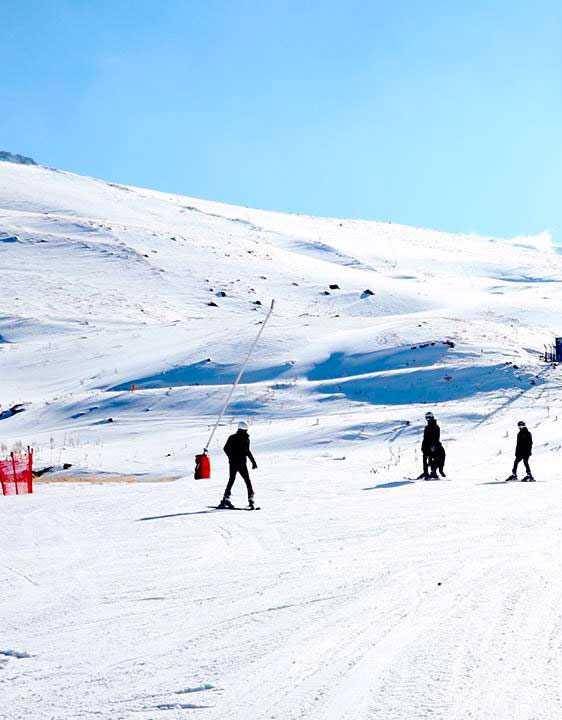 Konaklı