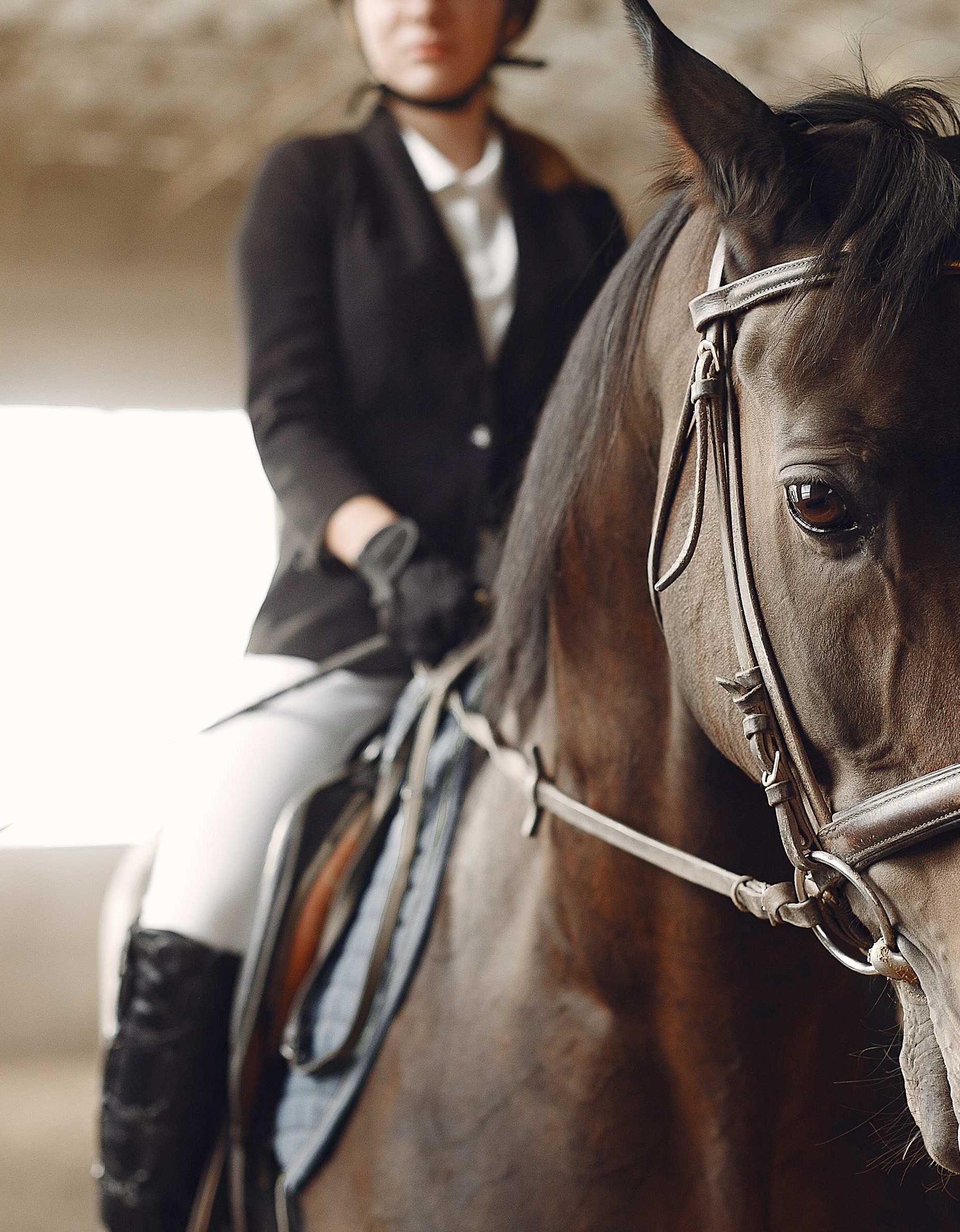 Bedir Han Horse Riding Center